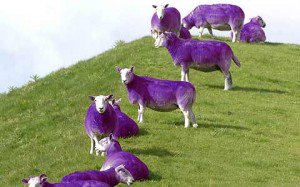 Kevin Johns tweet media