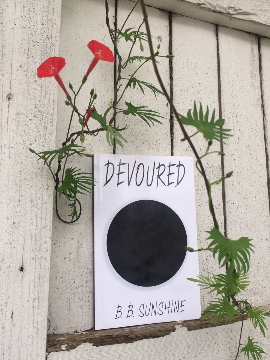 _bbsunshine's tweet photo. @vincentdonofrio 

Such a pleasure to see 2 of my favorite actors (you &amp; Mr. Hawke) in conversation at the Blaze q&amp;a. Ethan was gracious enough to accept 2 copies of my book Devoured. 1 for each of you. I hope you enjoy my words &amp; thank you both for continuing to inspire me. https://t.co/leFuQWrZTk