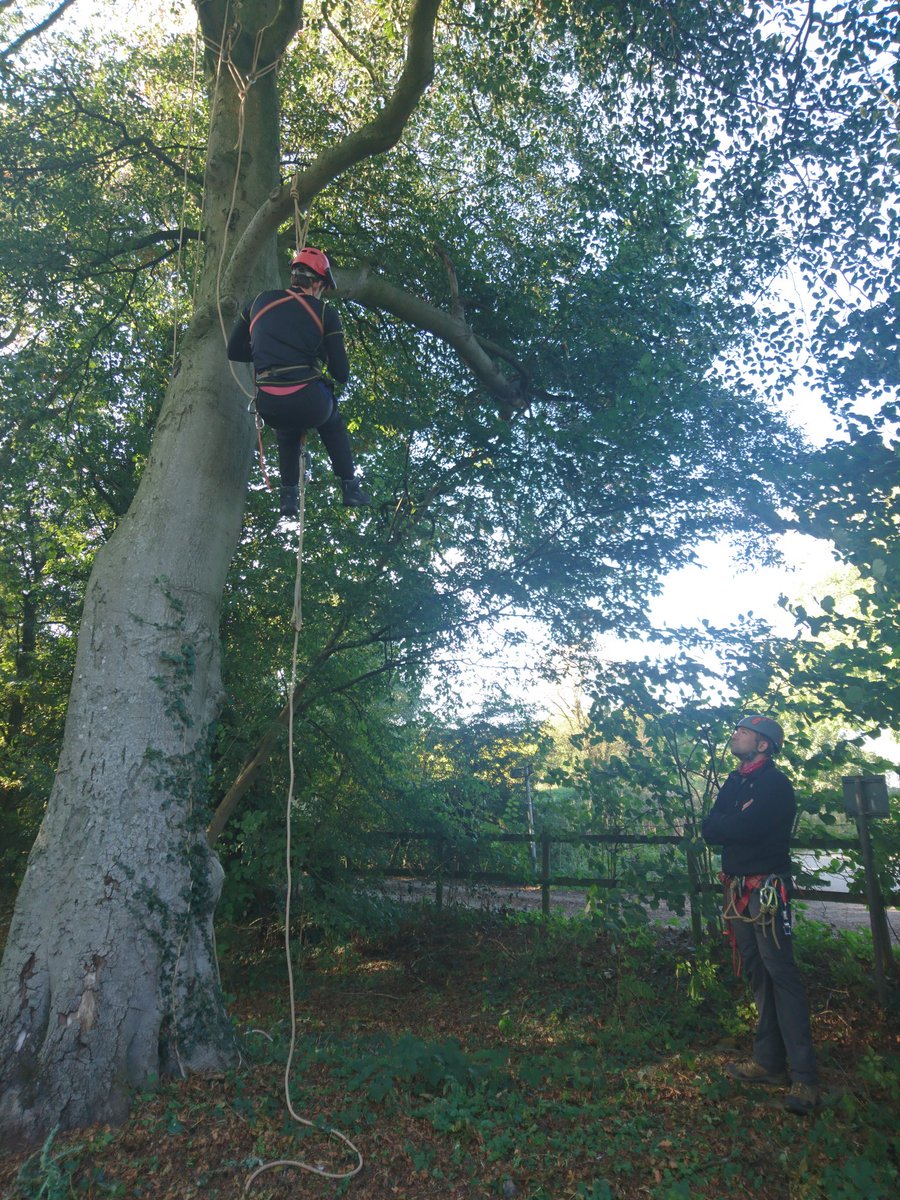 mblackwell_SH's tweet photo. Today with my caving club, we practiced 'Single Rope Technique' when you travel up and down 'pitches' using a single rope, as well as practising rigging at heights and helping train our younger members. #whenimnotteaching #cavingclub #outdoorfun https://t.co/uW6nBdvpFW