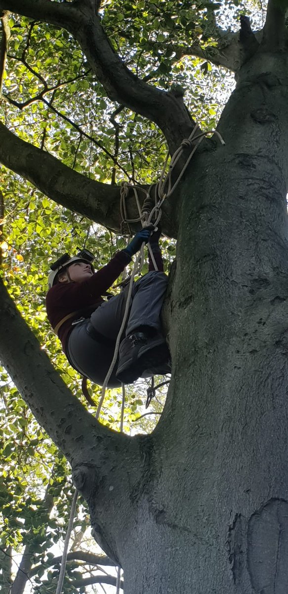 mblackwell_SH's tweet photo. Today with my caving club, we practiced 'Single Rope Technique' when you travel up and down 'pitches' using a single rope, as well as practising rigging at heights and helping train our younger members. #whenimnotteaching #cavingclub #outdoorfun https://t.co/uW6nBdvpFW
