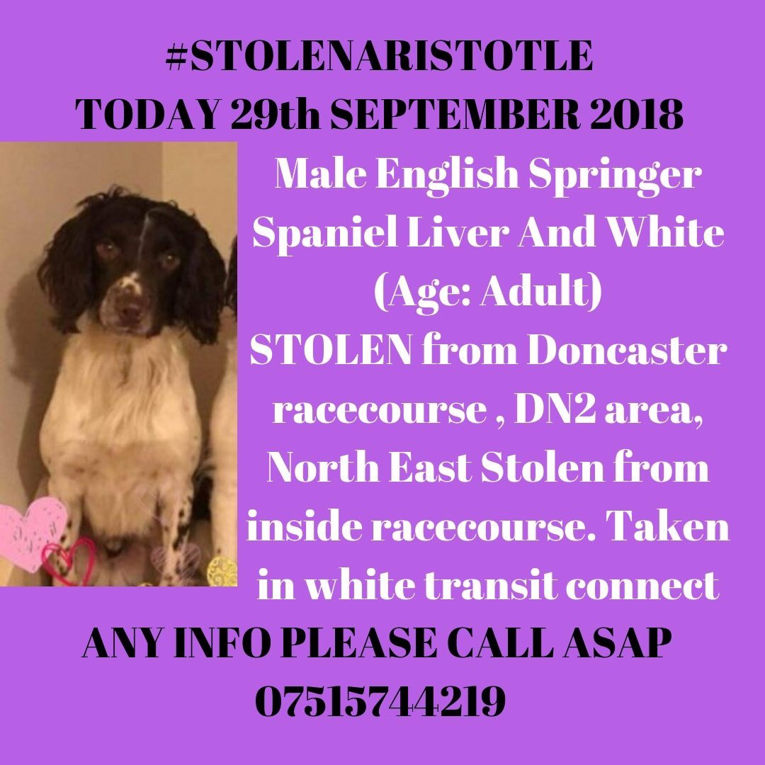 rosieDoc2's tweet photo. #FindAri WHAT HAVE YOU DONE WITH THIS LOVELY DOG
‼️you were spotted taking him, we know what you look like, it's only a matter of time before #CCTV is checked thoroughly ‼️Bring ARI home or take him to nearest vet where he's safe pls
#STOLEN from #Doncaster #RaceCourse 29/9 https://t.co/HwYpYZ74js