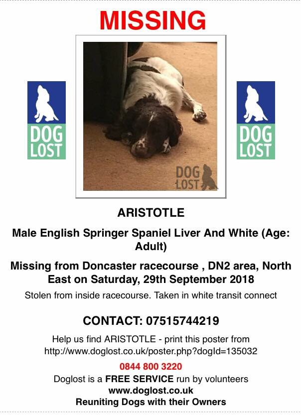 rosieDoc2's tweet photo. #FindAri WHAT HAVE YOU DONE WITH THIS LOVELY DOG
‼️you were spotted taking him, we know what you look like, it's only a matter of time before #CCTV is checked thoroughly ‼️Bring ARI home or take him to nearest vet where he's safe pls
#STOLEN from #Doncaster #RaceCourse 29/9 https://t.co/HwYpYZ74js