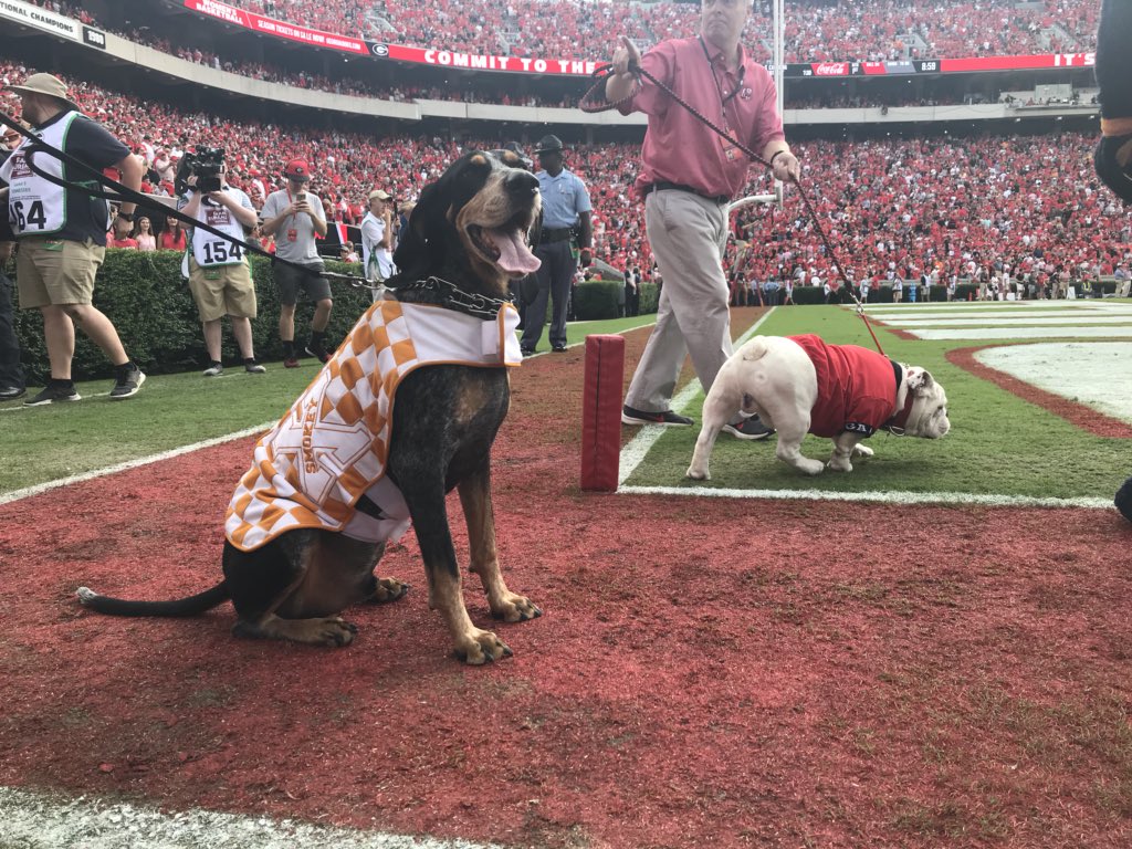 Good boys. Very good boys.