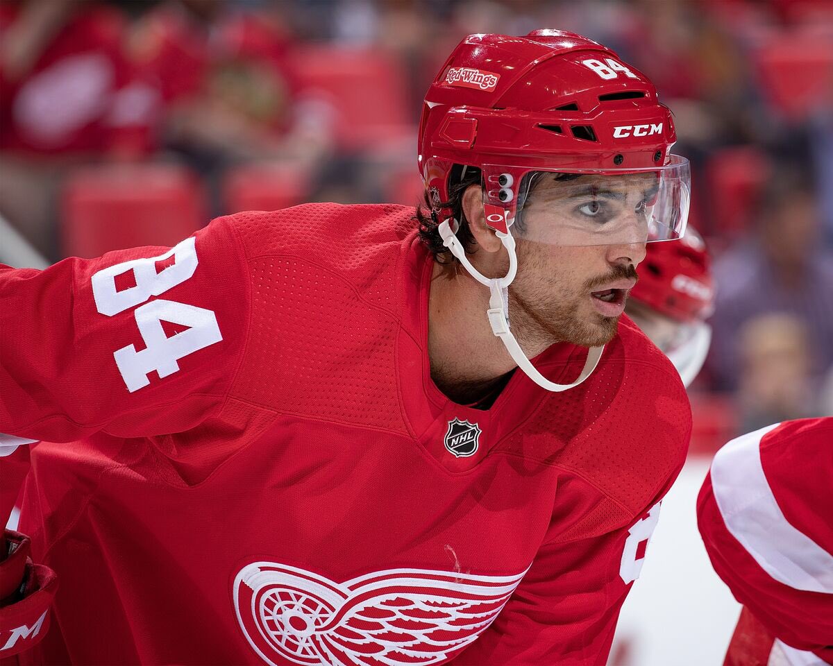 UPDATE The RedWings today assigned defenseman Jake Chelios and