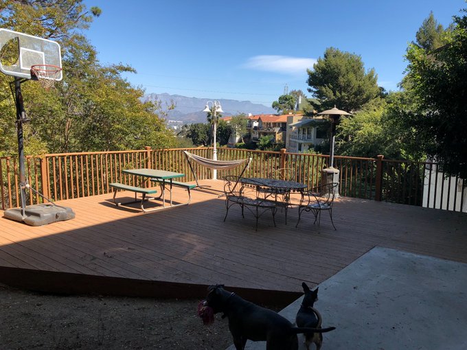 Happy dogs and happy life https://t.co/EIExipZKm6<a href="/tag/femaleperformer"class="tags"><span>#femaleperformer</span></a>