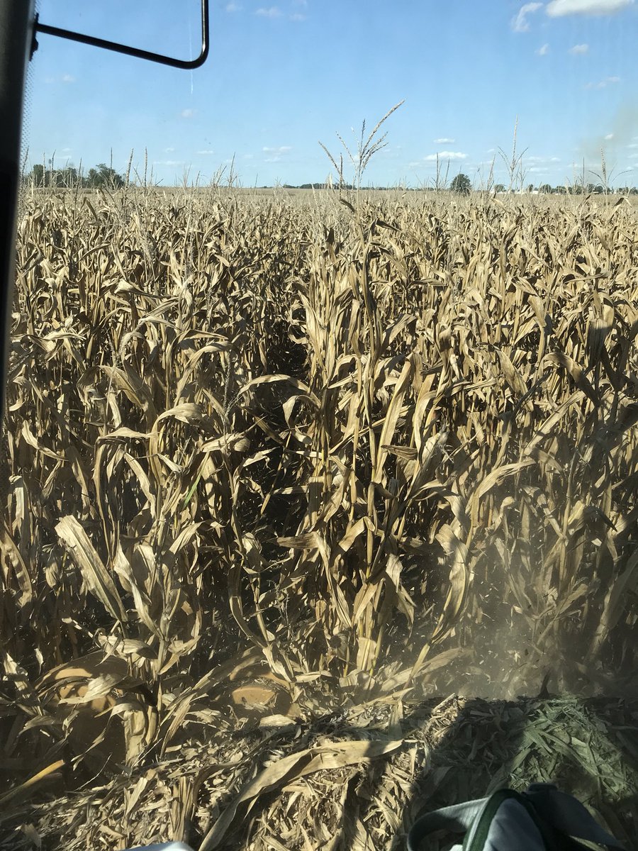 Jamie May tweet media