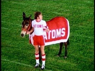 kevinbussey's tweet image. Bama just signed Gus the Kicking Mule to a scholarship! #rolltide #ULLvsBAMA #secnetwork  ift.tt/2OYHmaa