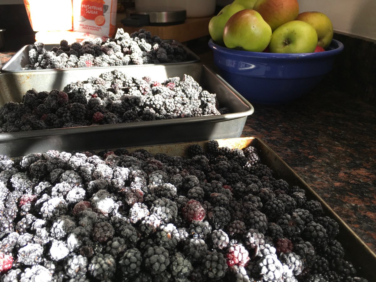 MulcahyDavid's tweet photo. Making the most of preserving @wasteknotuk autumn fruits. Local Windfall Bramley’s and foraged blackberries! Perfect jam for winter months. @SodexoUK_IRE supporting #wasteful2tasteful https://t.co/KNbIdSOM5c