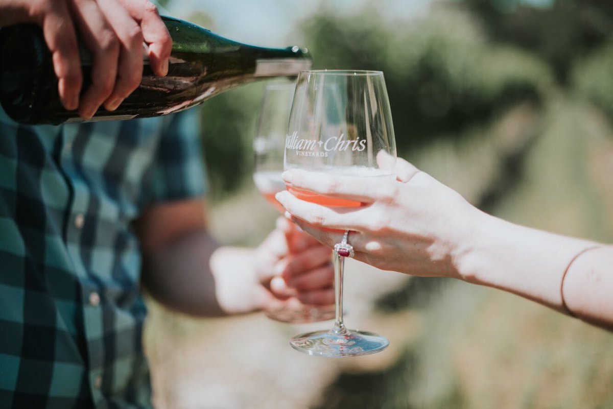 Absolute Charm tweet media