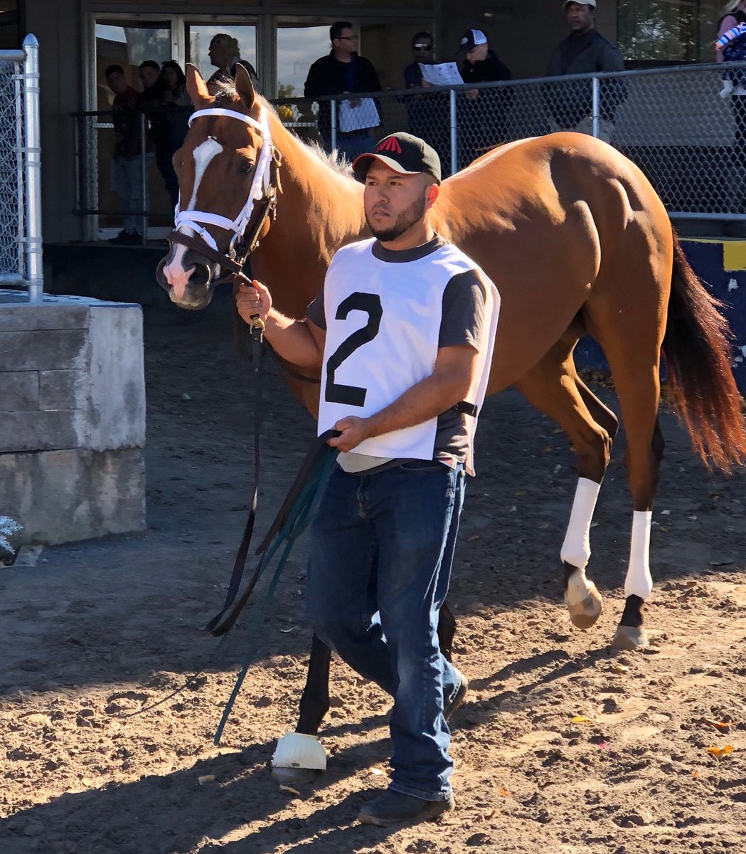 Bourbon Lane Stable (@BourbonLane) | Twitter