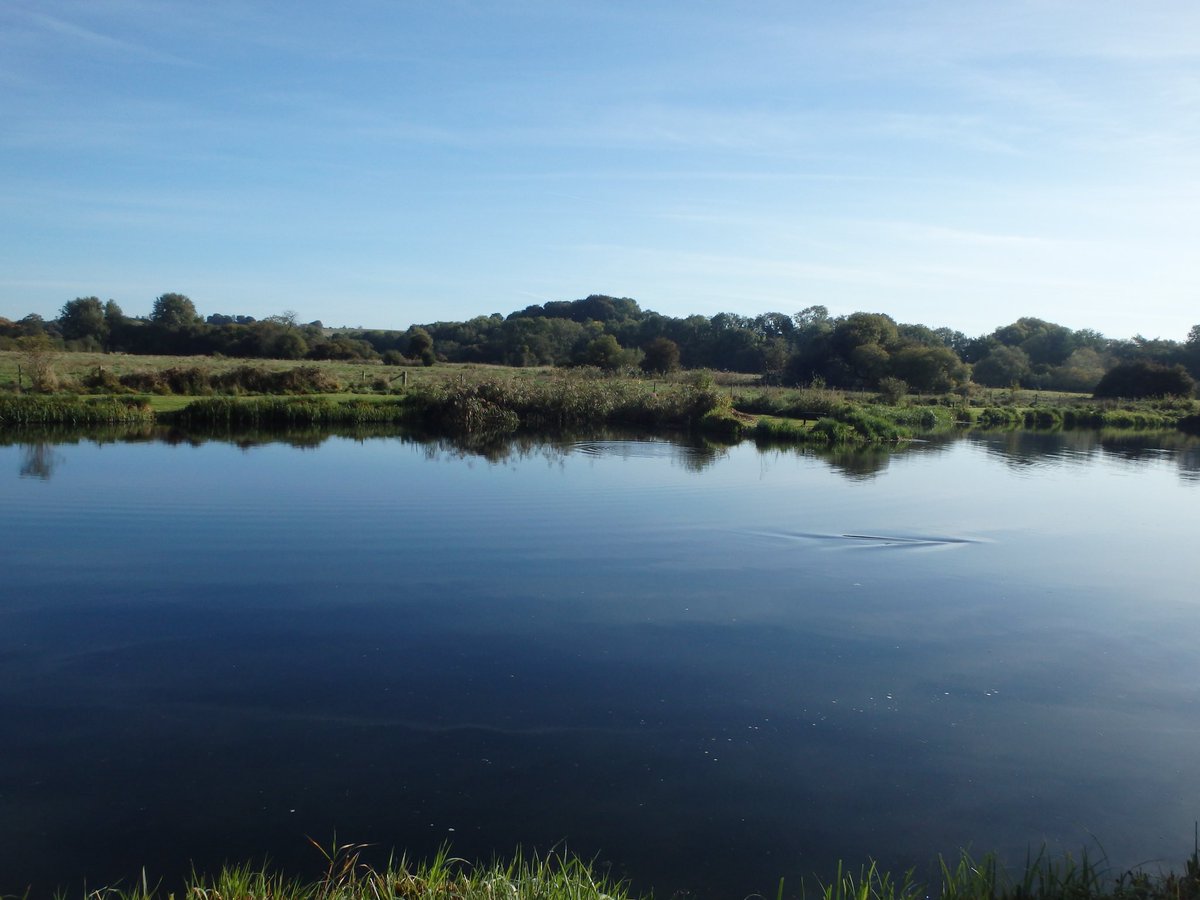 grahamwaterton's tweet photo. Beautiful morning. This young man gets better and better. A joy to teach. Lovely day.#flyfishing #chalkstream #oneforthepot @bossingtonest8 @TackyFlyFishing https://t.co/Kv2yRnKZxe