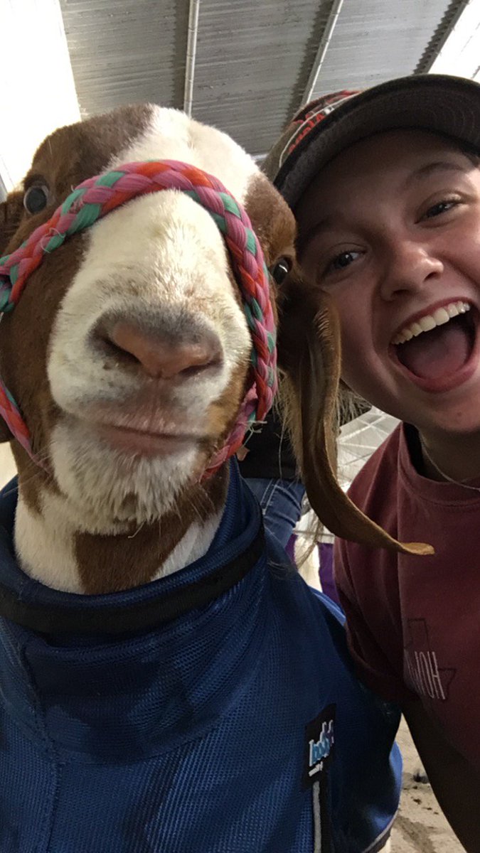 KyraQuintero2's tweet photo. I love Emily so much!!❤️❤️Help her get through the State Fair on showing her goat Tripp!!!She is gonna win I know that for a fact!! https://t.co/hgcZYFzgLU