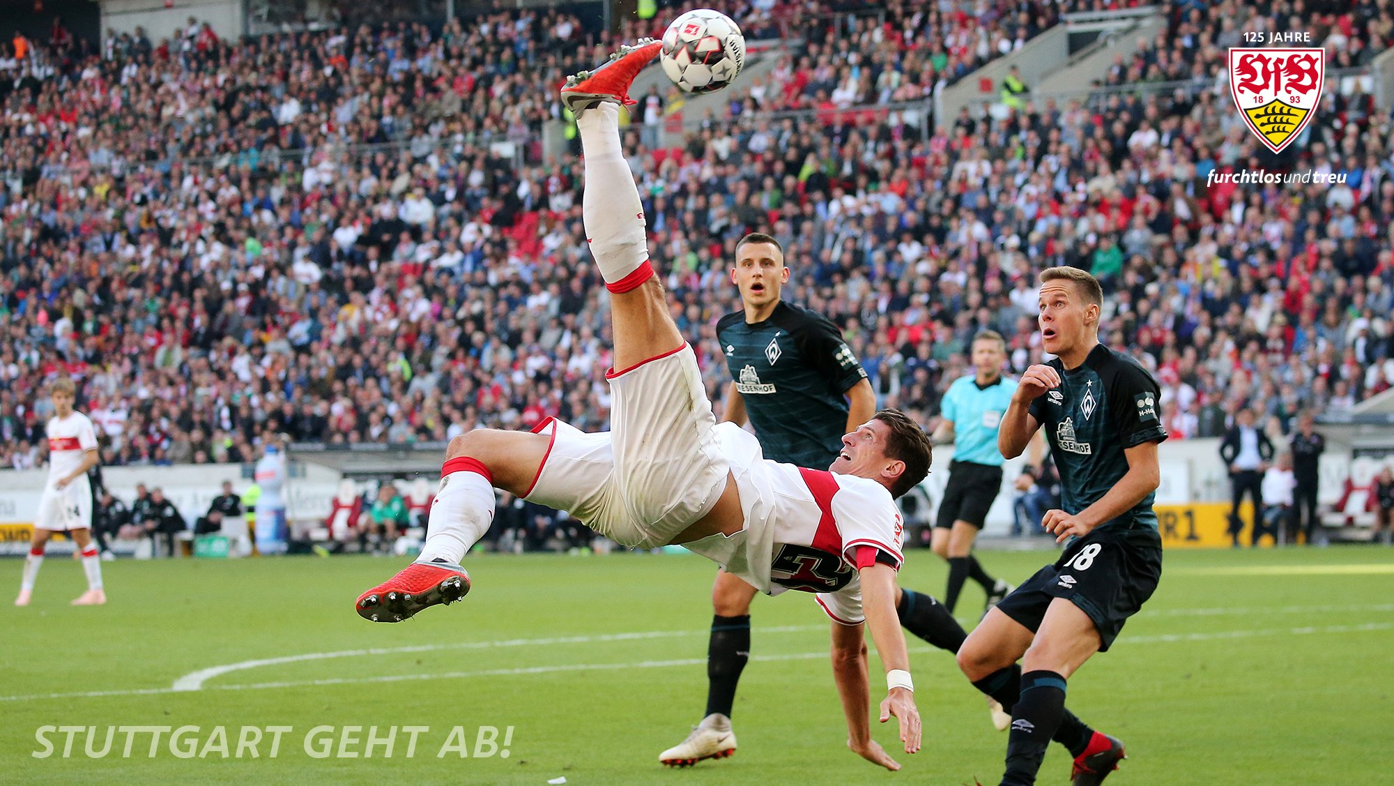 VfB Stuttgart on Twitter: "Diesen völlig verrückten ...