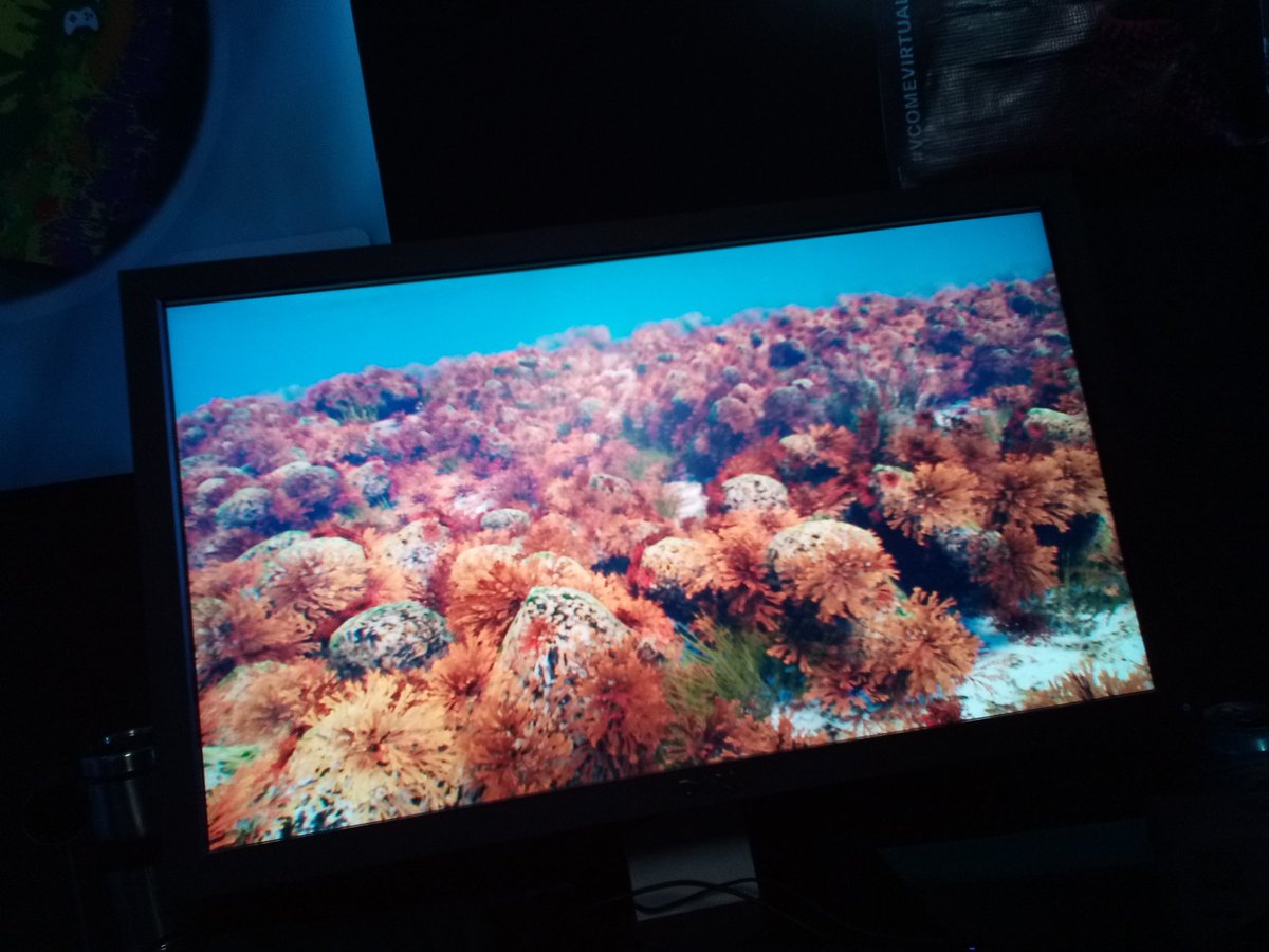 CinemaTempo's tweet photo. En el @vrfestmx visitamos el stand de la @Conabio. Tiene una experiencia increíble que nos permite recrear el mar en condiciones óptimas. La aproximación con la realidad es muy cercana. 👏🐢🦈 #VCOMEVIRTUAL #VRFESTMX2018 #CoberturaRCMX https://t.co/knkwuH2lAi