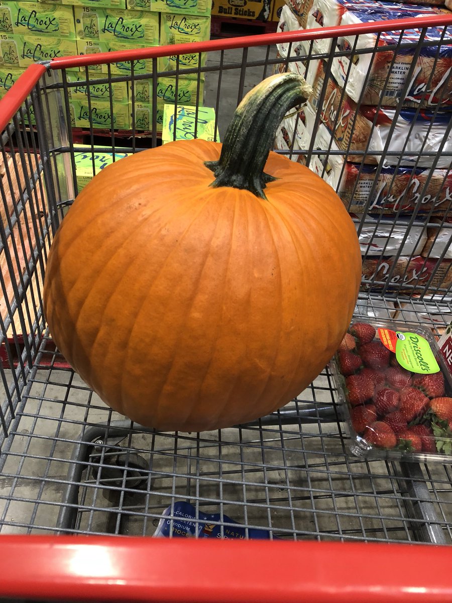 MrKerstenTIOGA's tweet photo. I now know the reason that the Costco carts are so large...to make the jumbo pumpkins look like a typical size. #familyweekendfun https://t.co/GIjPHUaod9