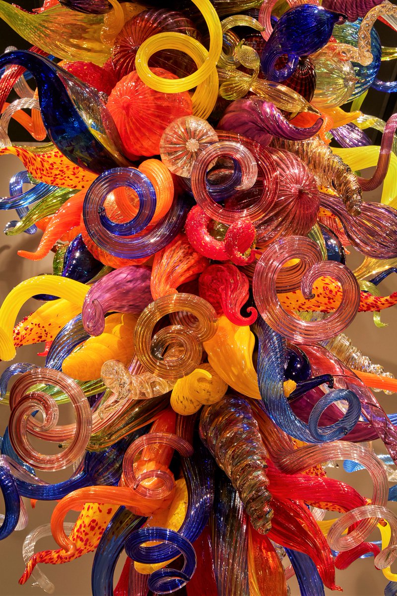 #Chihuly’s “Gibson Chandelier” is currently on display at the <a href="/MuseumofGlass/">Museum of Glass</a> in Tacoma, WA as part of the ongoing exhibition “Spotlight on Dale Chihuly: Works from Museum of Glass Permanent Collection.”