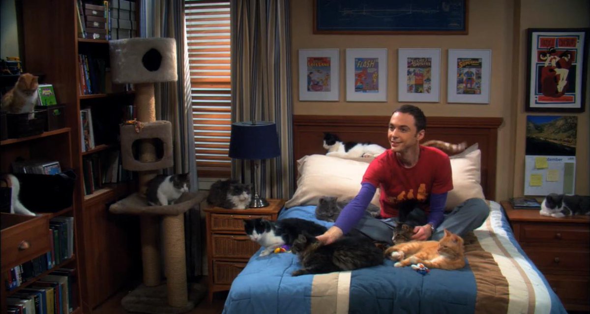 VixelinSparrow's tweet photo. Шёл 6 сезон. Шелдон уэликолепен 💕
#TheBigBangTheory https://t.co/zoy8xCXe4G