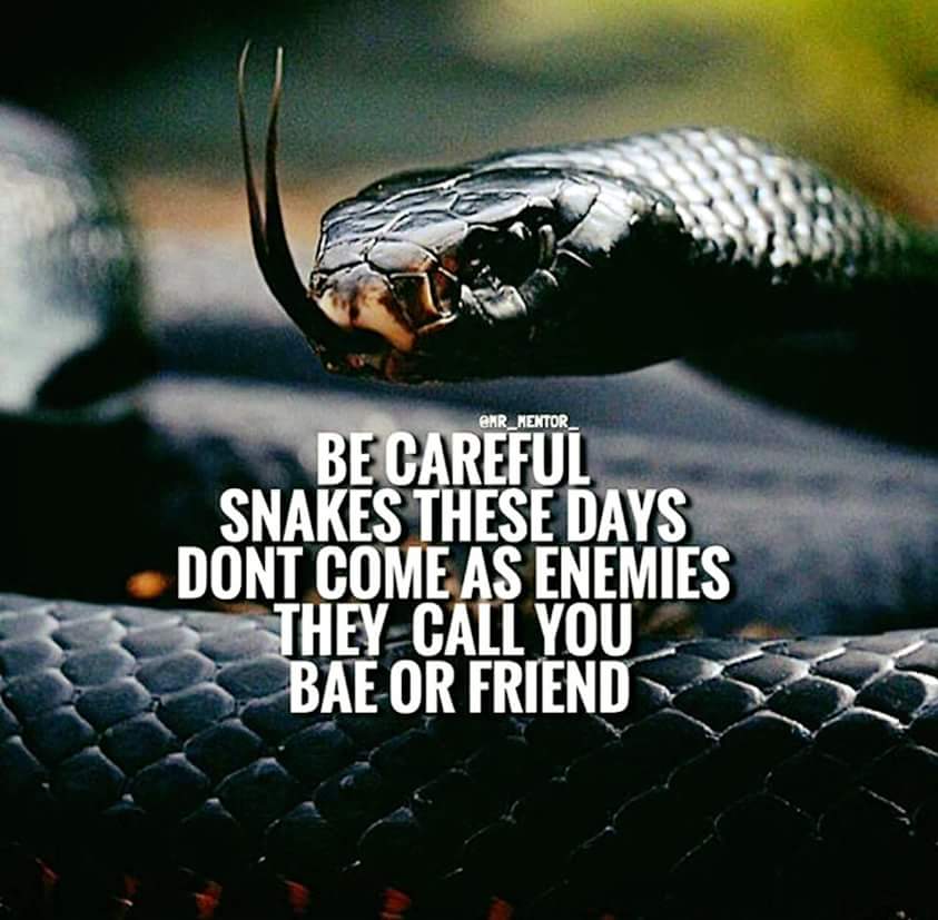 despiteone's tweet image. 