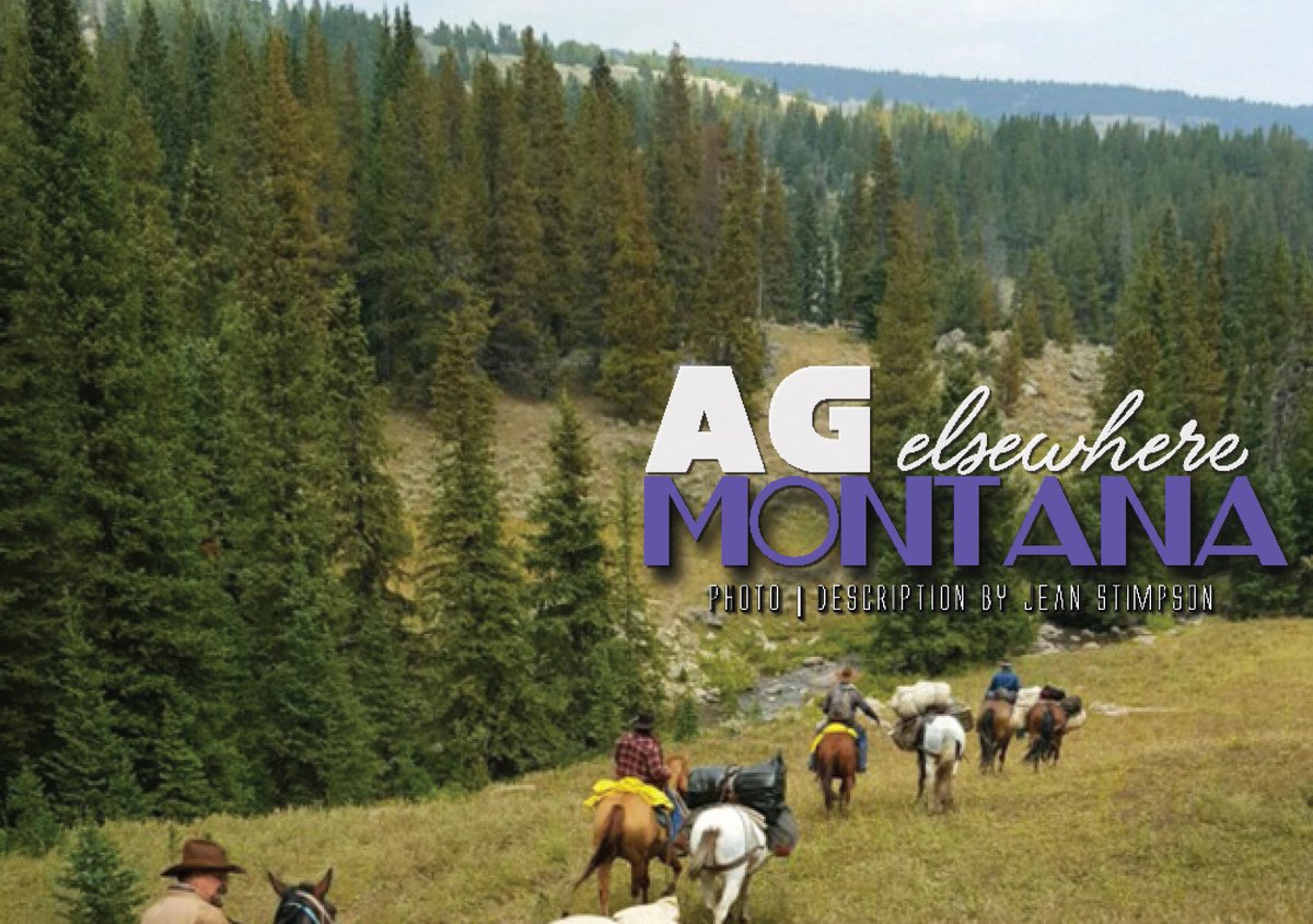 NTFRMagazine's tweet photo. An overnight packing trip up the Little Horn Canyon can prove a drastic change in temperature overnight, but the mountainous beauty is relaxing and worth the ride. Read more in the column "Ag Elsewhere Montana."
#OCT2018 #NTFR
https://t.co/mPsDMkHCow https://t.co/yFBJRwthfh