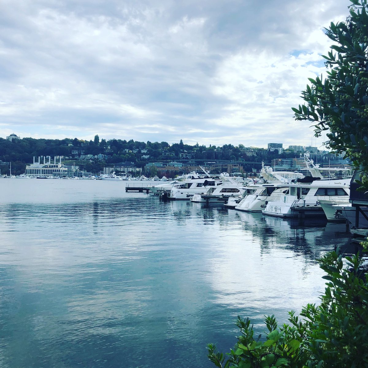 SROfficial1's tweet image. #childhoodmemories #homeonaboat #boatingislife #yachtlife @southlakeunion #seattle #saturday #running #photooftheday #saturdaymorning #notintexasanymore