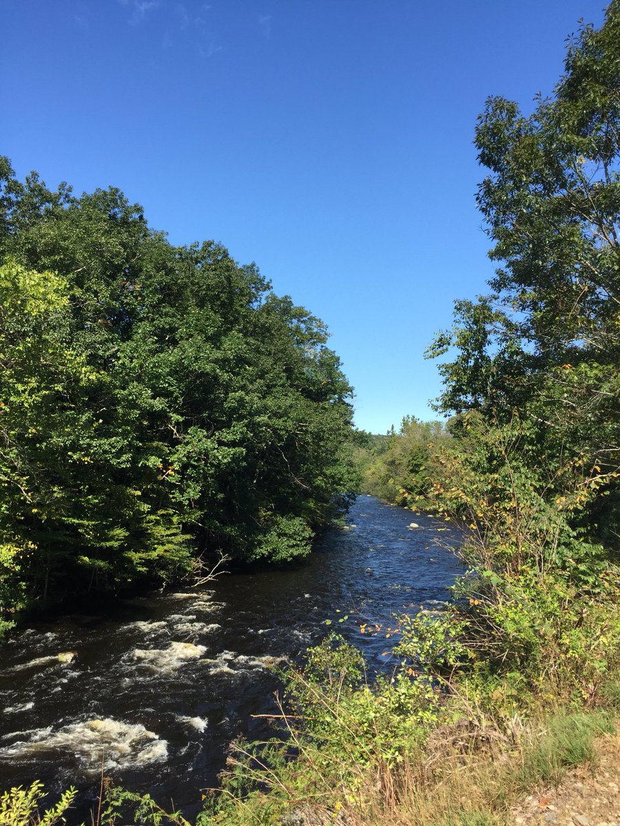 ConnConnection's tweet photo. Thank you @SonicEndurance @HartfordTrack for another great race! Beautiful day to run the #HogsbackHalf to benefit @RunforRescues https://t.co/ZHOORcA4Pn