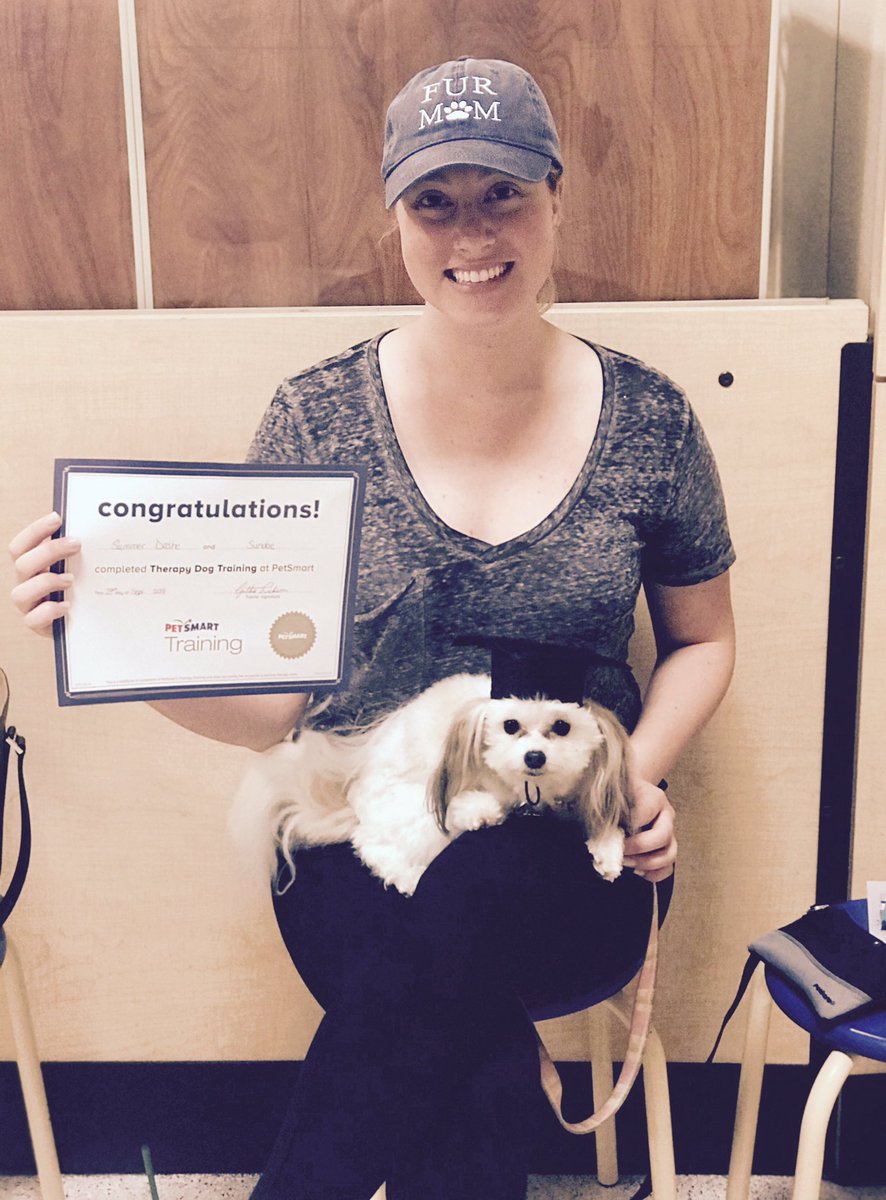 canine good citizen training petsmart