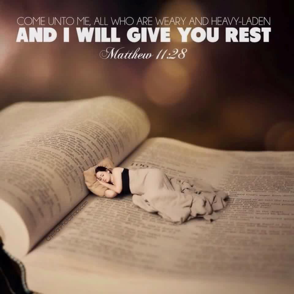 ErniHaesloop's tweet photo. #EuropaAfricaUS
Ps139:17-18
How precious also are Your
thoughts to me, O God!
How great is the sum of
them!
If I should count them,
they would be more in
number than the sand;
When i am awake i am still
with You.

FATHER YOUR WORD GIVES US LOVE,HOPE,FAITH,REST&amp;PEACE IJCN👑 https://t.co/6Yu6GcMPps