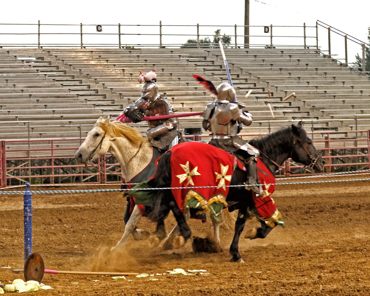 KnightsMayhem's tweet photo. Knights of Mayhem will be returning to Sheridan, WI, for CHAPS a Tournament of Knights on July 27th 2019. #knightsofmayhem #fullcontactjousting https://t.co/b4OYXn1zLF