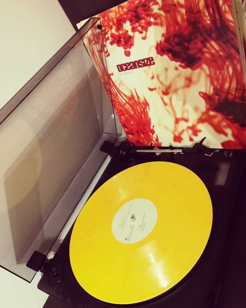 tomikudlaty17's tweet photo. Dziś mija 15 lat od wydania albumu #Effloresce przez #Oceansize #LPaddict #kudłatesłuchanie 💛💛💛💛💛💛💛💛💛💛 kto nie zna, musi sprawdzić! #Vennart https://t.co/2I6HiDW2GT