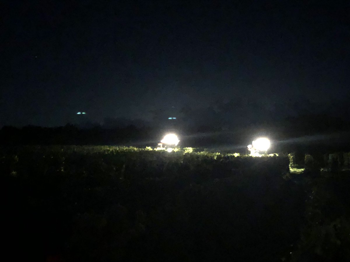 Glen_Elgin's tweet photo. Here we go again! Early starts and long days.... must be #Riesling season in @WineCountryOnt. @PellencGroup #Selectiv Process onboard sorting technology delivering incredible sorting results! https://t.co/eHNW5vS1l3