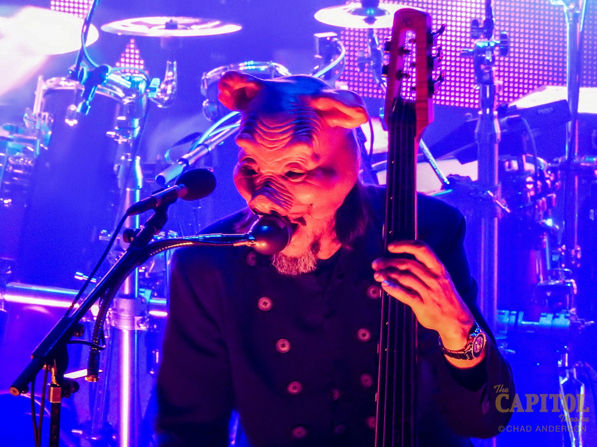 Happy birthday to this mind-melting, face-shattering, earthquaking bass god, Les Claypool! : Chad Anderson 