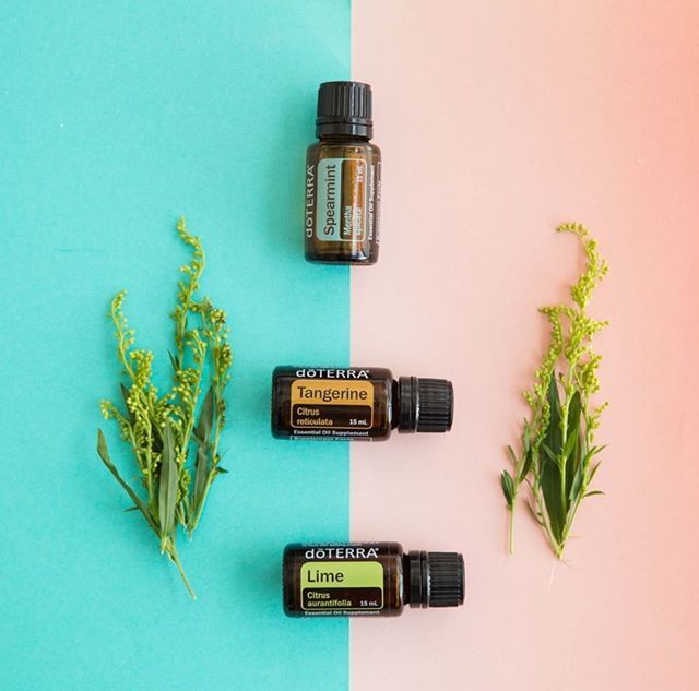 Tobygrowth's tweet photo. Citrus and Mint.. Comes together in perfect harmony.. Refreshing Cleansing smell 🙌🏻
_

_

_  #essentialoils #aromatherapy #essentialoil #doterraessentialoils #wellness #healthyliving #doterralove #naturalsolutions #yogaeverydamnday #meditation #yogi … https://t.co/2jGhlxc4JA https://t.co/RBbaUxnSIO