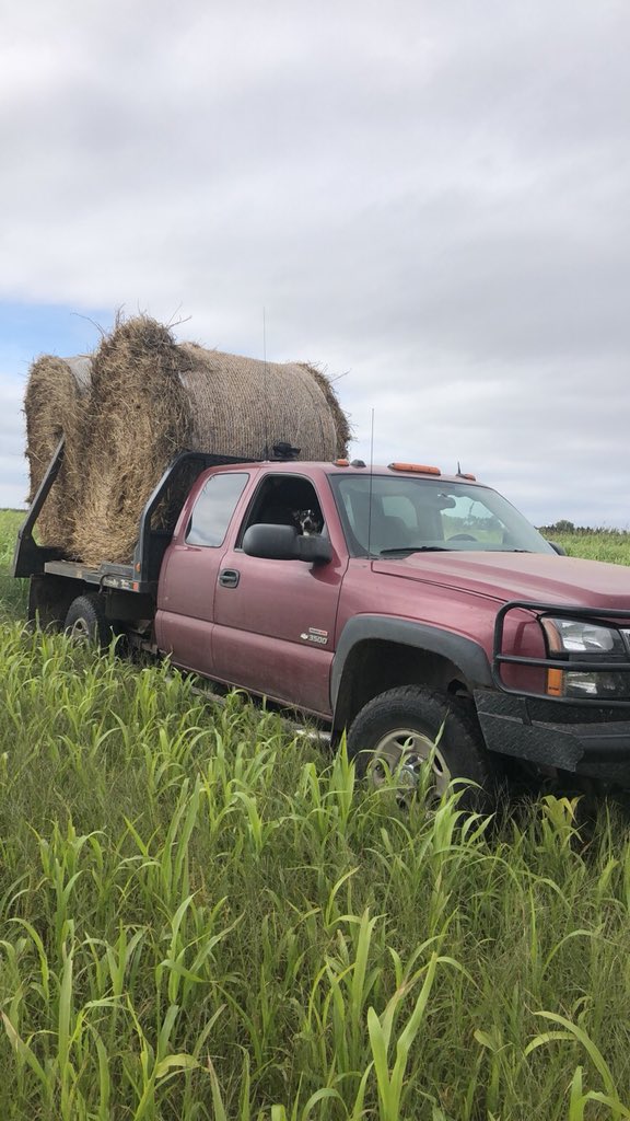 Yesterday I was asked by a fellow educator from an #farming family if anyone else I work with understands my life outside of the office. I laughed.  Hmmm not so much. Today it's moving sedan bales to get ready to plant. #ksag #farmwife #cowdog #Duramax #Hydrabed