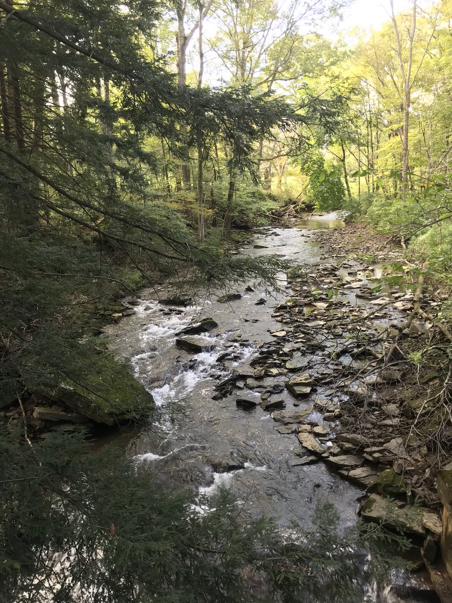 suenray2's tweet photo. Fall along the #Hoodlebug Trail. And of course @LevityBeer #ILikeBeer #LWCF https://t.co/HAt1A84ufn