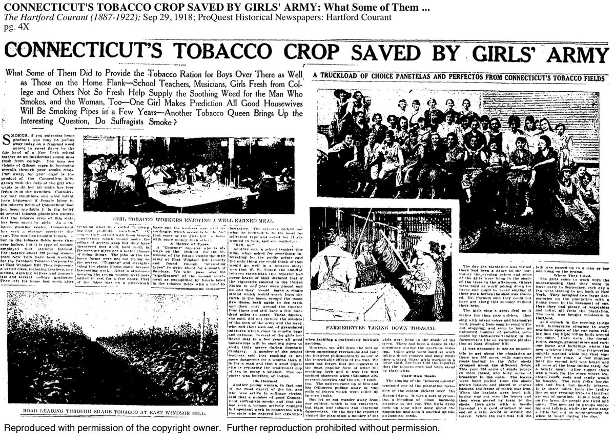 CTinWW1's tweet photo. Connecticut's Tobacco Crop Saved By Girls' Army! School Teachers, Musicians, Girls Fresh From College and Others Not So Fresh Help Supply The Soothing Weed For The Man Who Smokes, and the Woman, Too! #womenatwork #wwi #ww1 #worldwar1 #warwork https://t.co/KOMi2aWZbz