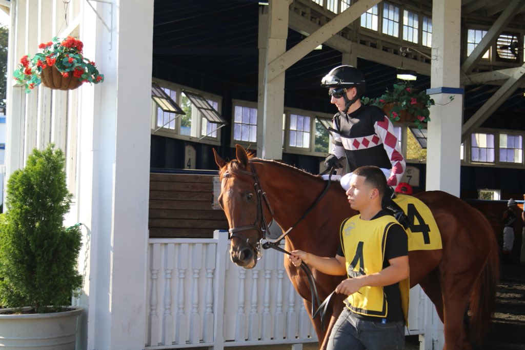 SagamoreRacing's tweet photo. Sagamore homebred Riley’s Choice (Distorted Humor - Shared Account) wins the All Brandy Stakes at @LaurelPark #goodgirl #everyday Replay to follow! https://t.co/NZEOg1wwSI