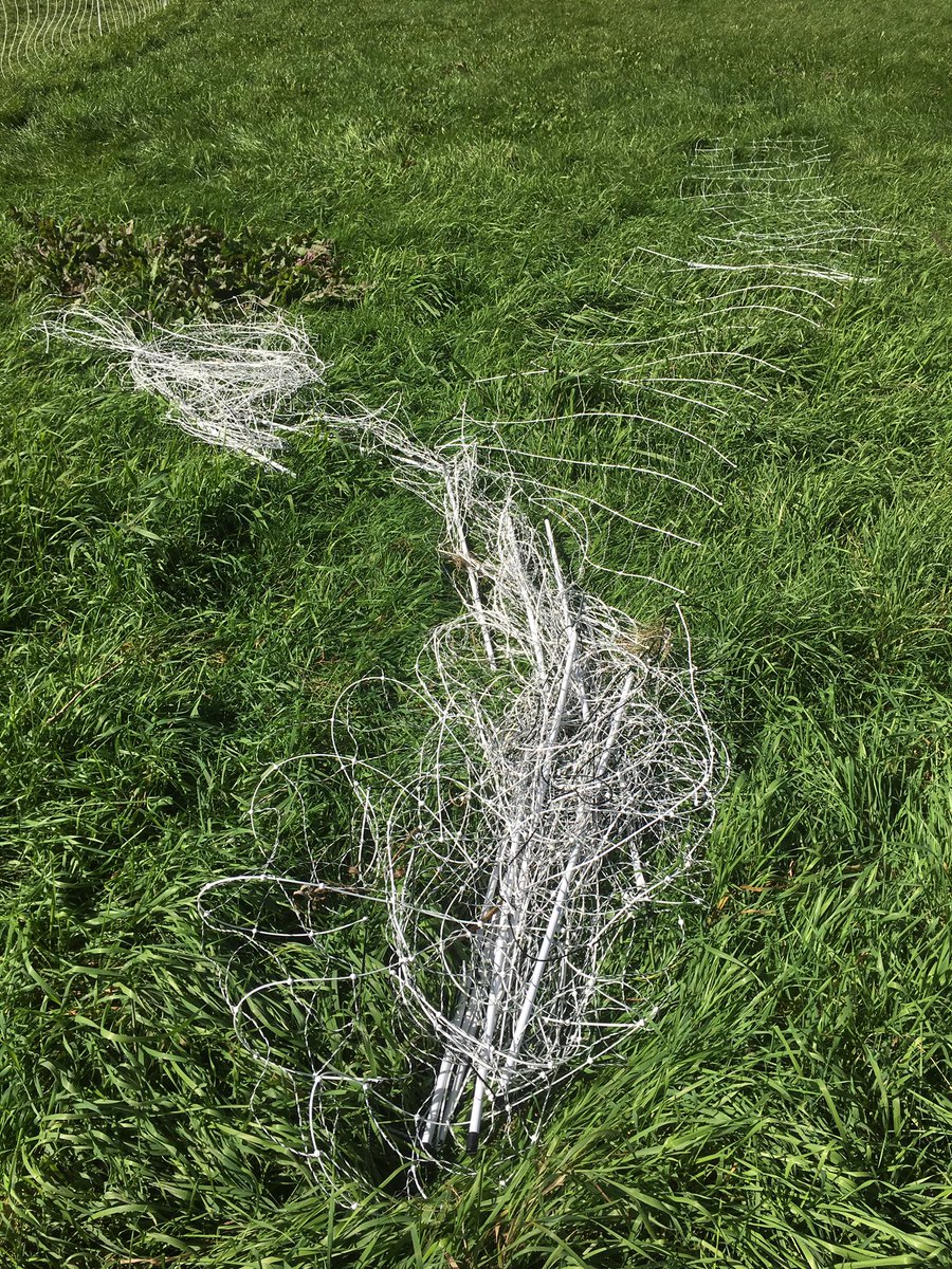 CedarGroveFarm's tweet photo. Nothing worse than finding out that the ewe lambs have ran straight through the electronet and that I now get to spend the next hour trying to untangle it... oh the joys of farming π€¦π»ββοΈ
#worstmindpuzzleever #justabigknot #pasture18 #ontariosheep #ag365 #AgMoreThanEver https://t.co/Qg6oVPQvwh