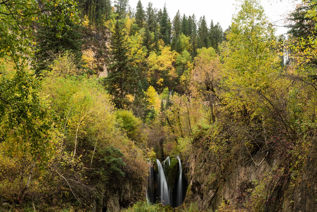 spfcanyon's tweet photo. Did you take any awesome Fall photos of the canyon this year? Share them with us in the comments! 

#fall #southdakota #spearfish #spearfishcanyon #spearfishsd #snowfall #snowmobile #spearfishcanyonlodge #blackhillsnationalforest #blackhills #blackhillsbadlands #lodge #utv https://t.co/o4p16F4x6y
