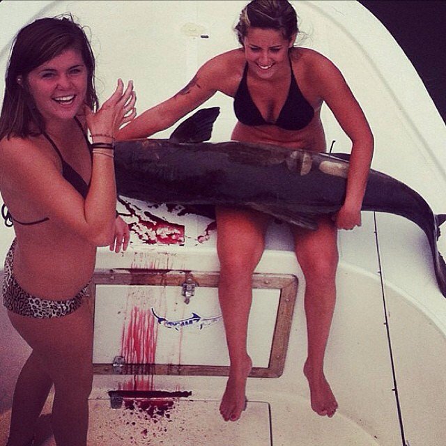 TopFisHook's tweet photo. Oh just take a look at this!

#fishing #topfishook https://t.co/tL7CNAq6SA