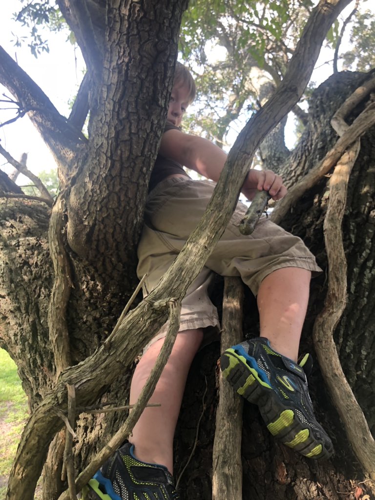 Team_Doggett's tweet photo. Just got a 4.5D 5T using an 8 year old daredevil boy for a #TOTT! #Geocaching #treeclimbing #Geokids #geochallengeofthemonth #cachecrate @GoGeocaching @Geocachingvlogs #BiloxiMS https://t.co/otfPbMdZbK