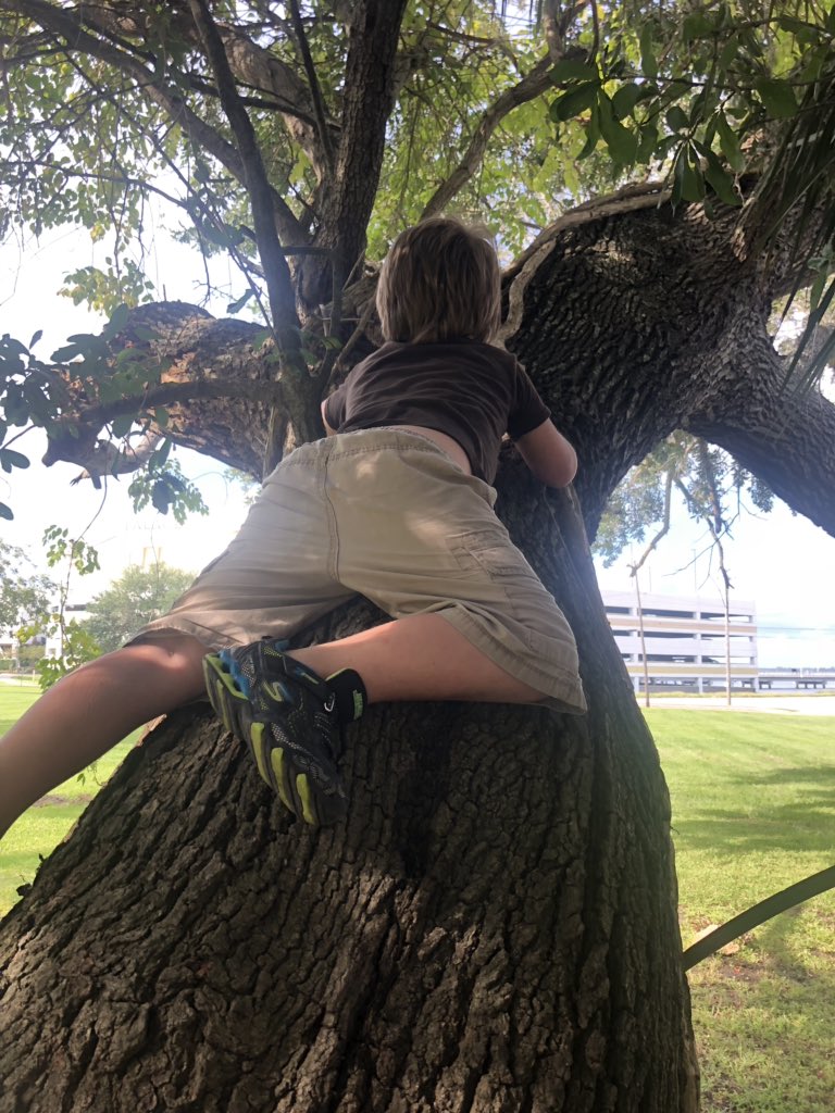 Team_Doggett's tweet photo. Just got a 4.5D 5T using an 8 year old daredevil boy for a #TOTT! #Geocaching #treeclimbing #Geokids #geochallengeofthemonth #cachecrate @GoGeocaching @Geocachingvlogs #BiloxiMS https://t.co/otfPbMdZbK