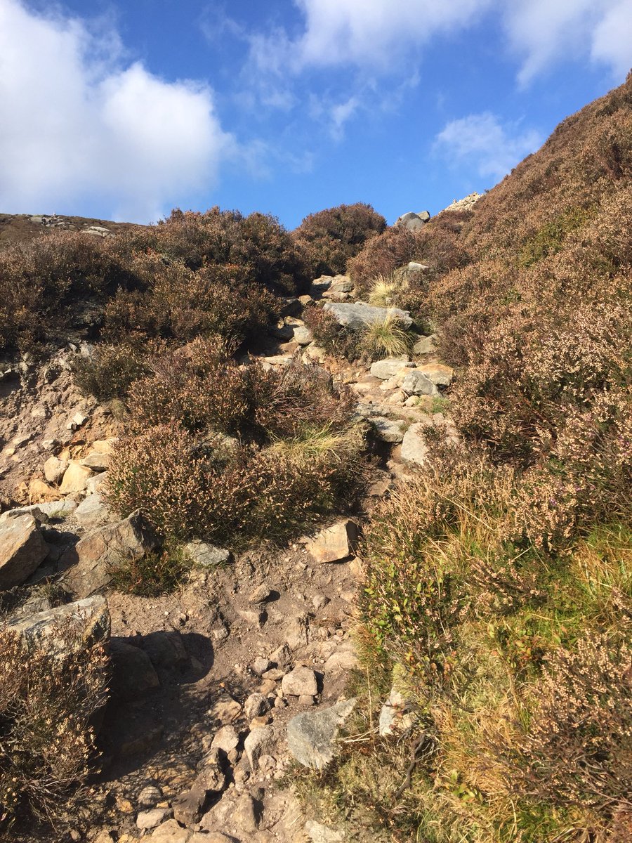 TheWIWalks's tweet photo. Windshaped rocks steep descents and some rocky foot work made for an interesting second half of the walk. The sun shone words flowed and we arrived back in Edale by 4. @WomensInstitute @WILifemagazine @PeakDistrictNT @MFWI @CheshireWIs https://t.co/1mqvCtWTKI