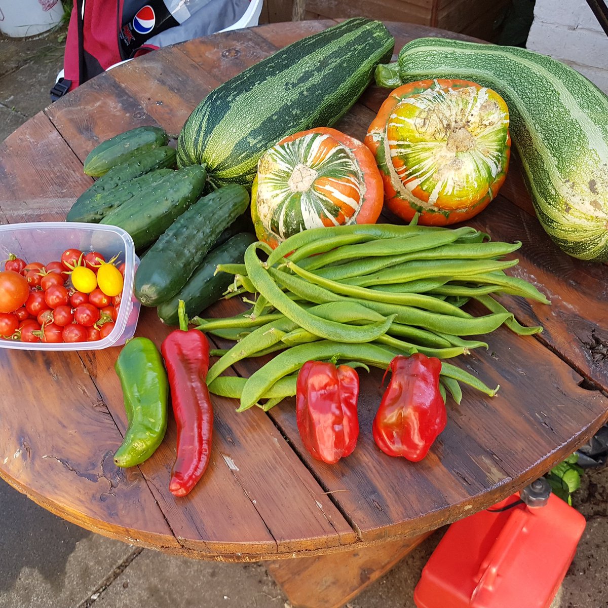 Nice mixed pick should see me ok for the week #allotment #gardening #vegtables #veg #fresh #thegoodlife #edible #marrow #squash #chilli #tomato #beans