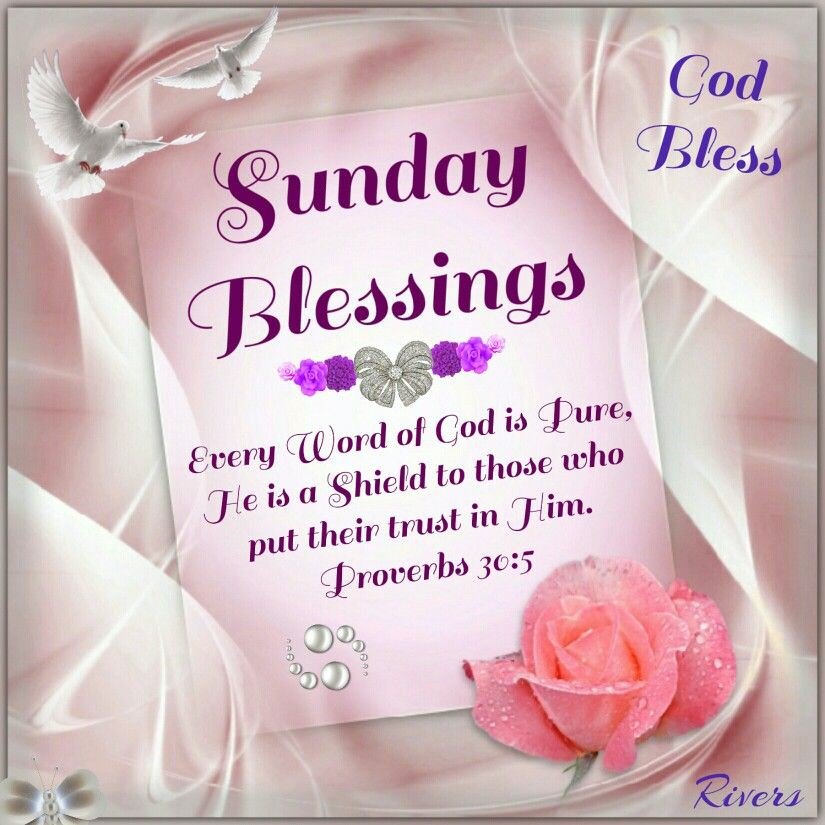 Sunday Blessings
#ALDUBTrulyLoved

<a href="/ermiesagum/">🦋ermiesagumᴬᴰᴺ 🦋</a>
<a href="/ChonaFebe/">Febe chona😘💕💖 thank you 4 loving me</a>
<a href="/mssalamat68/">Malou Salamat</a>
<a href="/latuazon/">Lira Tuazon 🍃</a>
<a href="/lace_tess/">🦋tess🌸lace❤️</a>
@Lanzya777
<a href="/NoraNoraCampos/">❤️🌺</a>
<a href="/maine_mine1/">MAINE Mine</a>
<a href="/MaElenaNieto/">Candy Candy</a>
<a href="/DIWATA4eVeR/">💚Diwata4eVer💚</a>
<a href="/elainerequina21/">🦋elaine®🦋</a>
@Rosa41v <a href="/irmaroxas3/">HAPPY LIFE😂HAPPY HEART💞</a>
@1couldbe_samson
<a href="/alduBarkads_716/">Ram Talavera</a>
<a href="/salvadortrish21/">💖Trish💖</a>
<a href="/sapphir04394715/">@Sapphire2💙</a>
<a href="/fleurs7754/">PlantMama 🌱</a>
