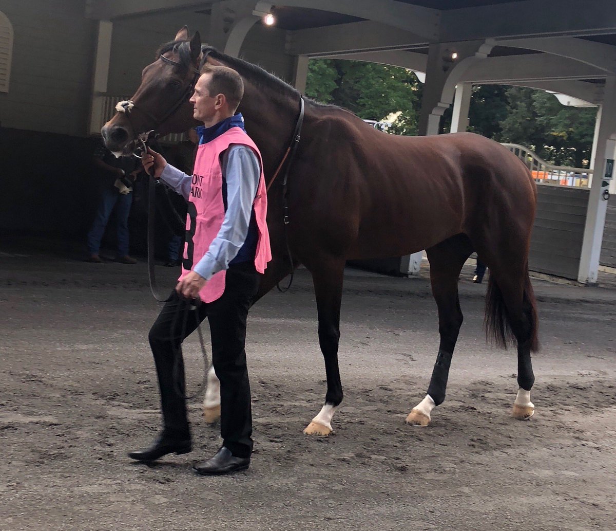 SaratogaGoose's tweet photo. .⁦@godolphin⁩ Thunder Snow #JCGP https://t.co/MY9Qiwlnbs