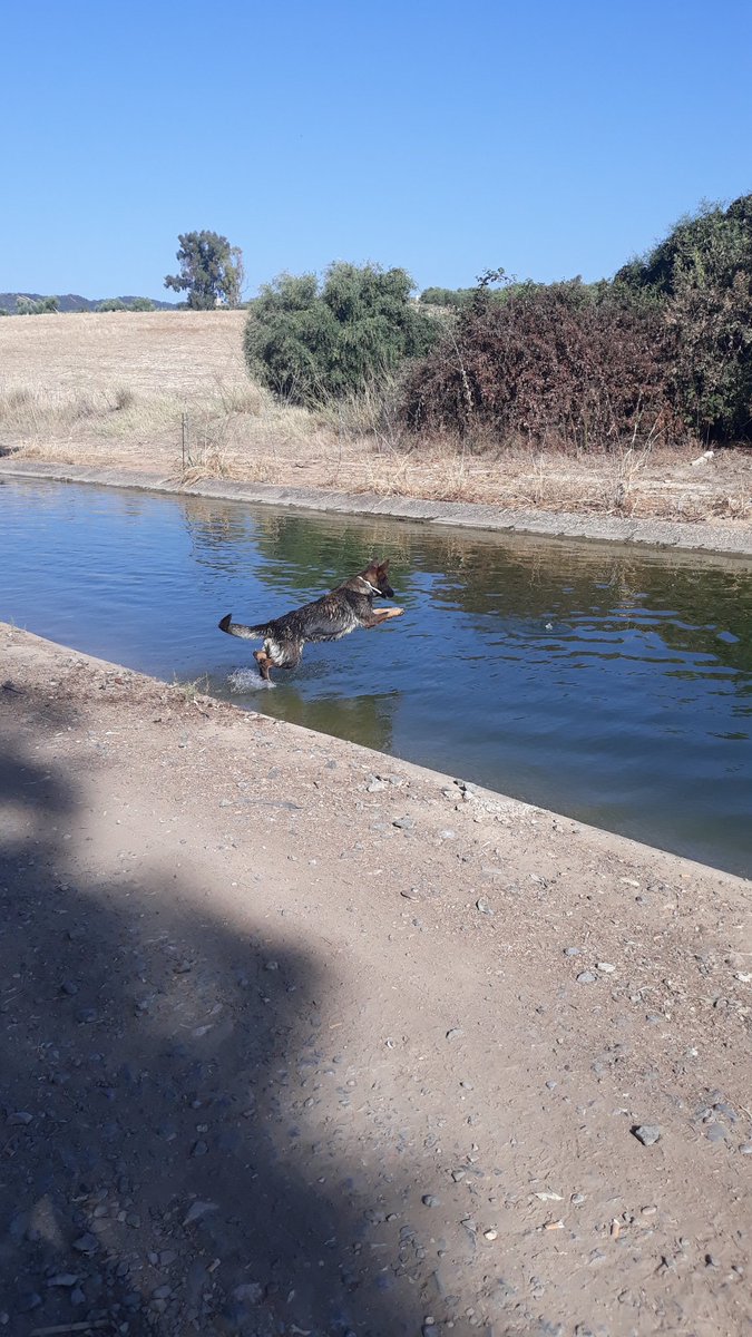 La búsqueda del vecino de Lora del Río desaparecido continúa sin resultados.
