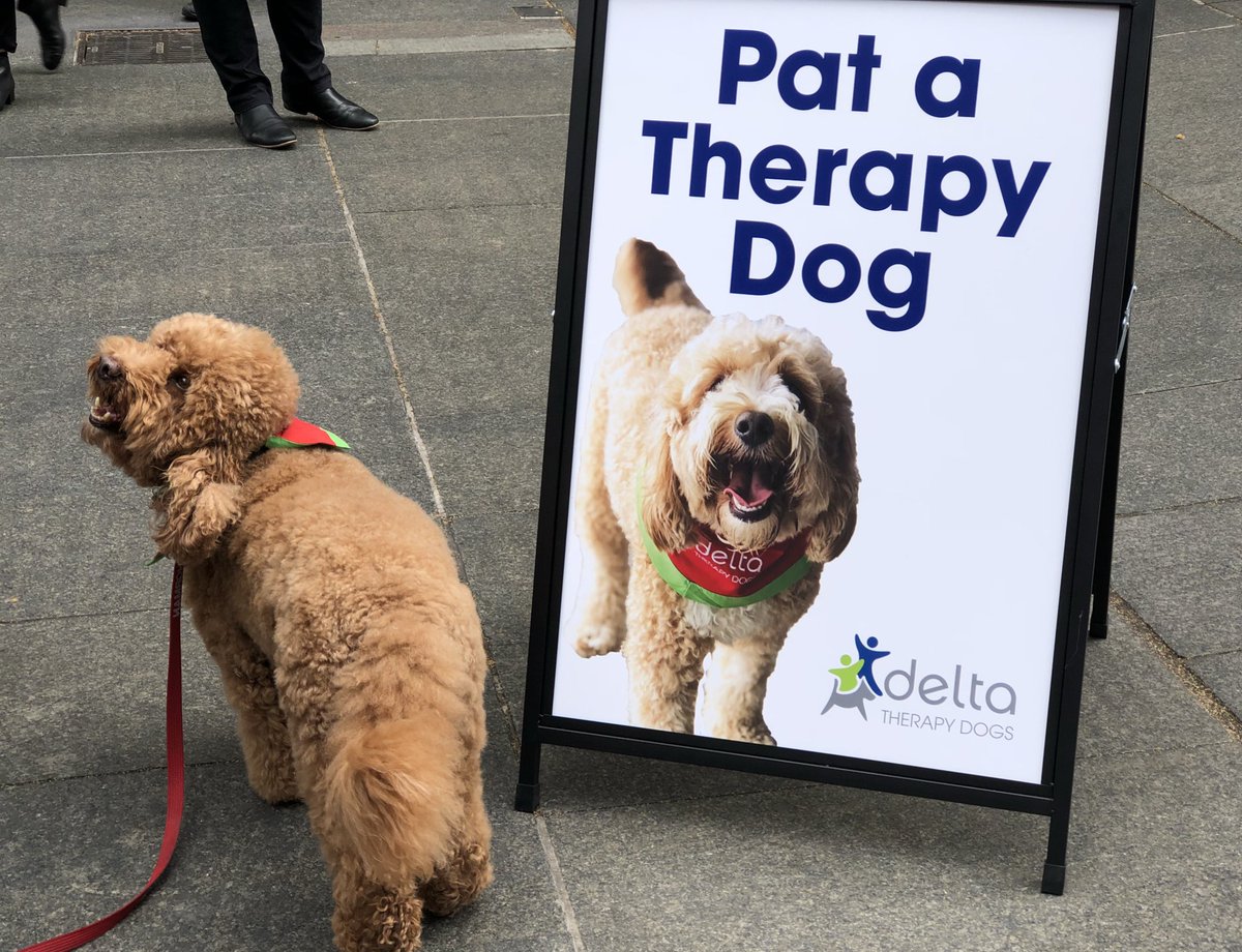 delta society therapy dogs