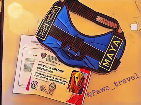 Expodato Eventos tweet media