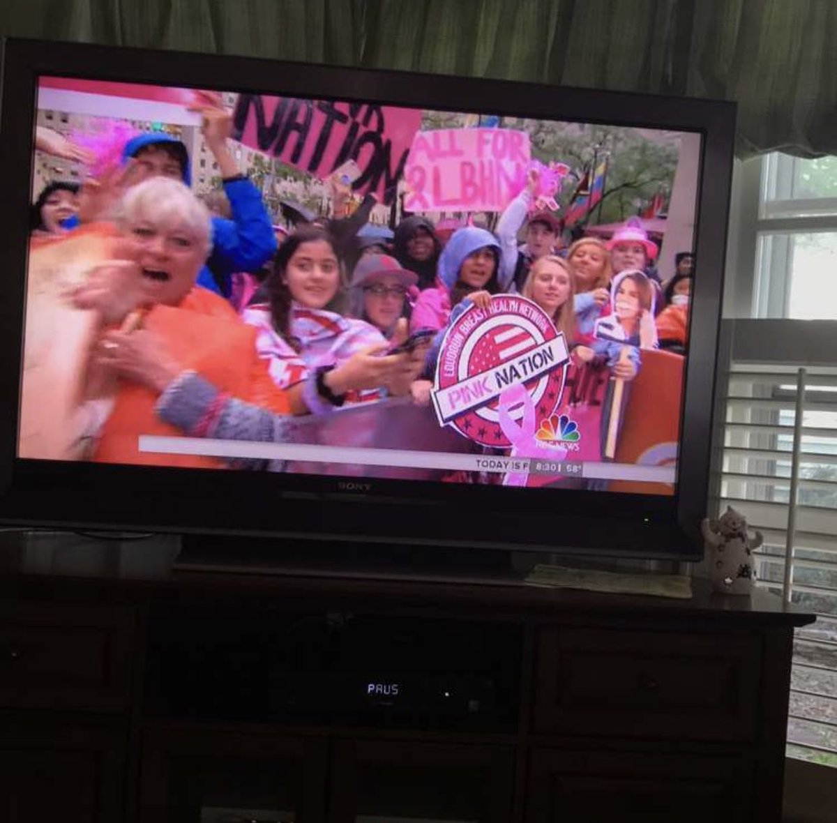 BRHSPinkProject's tweet photo. SO much fun going to New York City yesterday with 50 deca members! Always a fun time raising awareness for Loudoun Breast Health Network @LoudounBHN We got featured on the @TODAYshow &amp; had a blast walking around doing things in the city afterwards #allforLBHN #pinknation https://t.co/pheEq6kean
