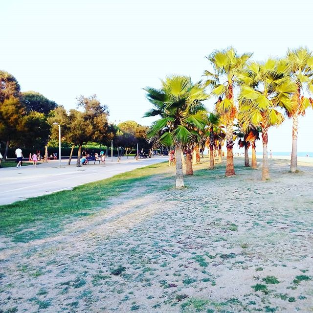 strandMINblick's tweet photo. #pinedademar #strandausflug #surfen #surfsport #windsurfen #windsurfer #paradies #strandzeit #meintraumstrand #sandstrand #mittelmeer #strand #costabrava #spanien https://t.co/PmrVIna4UN https://t.co/4ZTBFxxUC8 https://t.co/gVx0anVqja https://t.co/3ZlrttKcJD 📷: @strand_blick.de https://t.co/zWcYtMUA8N